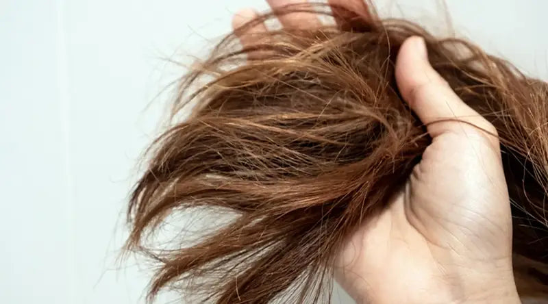 Moisturizing Dry Hair: Your Guide to Proper Care for Dry and Damaged H ...
